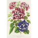 Petunia inimitabilis hybride flore plein - Charles Antoine Lemaire — vy av konstverket