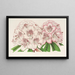 Rhododendron Bijou de Gand hybride - Charles Antoine Lemaire — inramlat konstverk på väggen