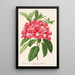 Reproduktion av målningen Rhododendron azaleoides var. crispinorum - Charles Antoine Lemaire