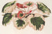 Saxifraga fortunei Hort. angl. var. tricolor - Charles Antoine Lemaire — vy av konstverket
