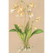 Utricularia montana - Charles Antoine Lemaire — vy av konstverket