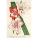 Reproduktion av målningen av nya varietéer av trädgårdsgladiolus - Charles Antoine Lemaire