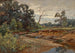 Bois d'Indiana - Charles Conner — vy av konstverket