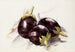 Aubergines - Charles Demuth — vy av konstverket