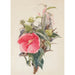Reproduktion av målningen Hibiscus - Charles Demuth