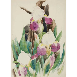 Charles Demuth - Iris.webp