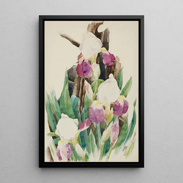 Iris - Charles Demuth — inramlat konstverk på väggen