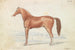 Le Cheval de course anglais - Charles Hamilton Smith — vy av konstverket