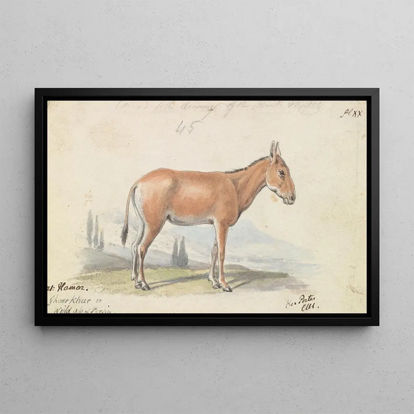 Charles Hamilton Smith - The Hlymar or Hamur Persian Wild Ass.webp