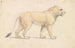 Lion de Tsavo - Charles Hamilton Smith — vy av konstverket