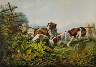 Charles Parsons - American Field Sports On a Point.webp