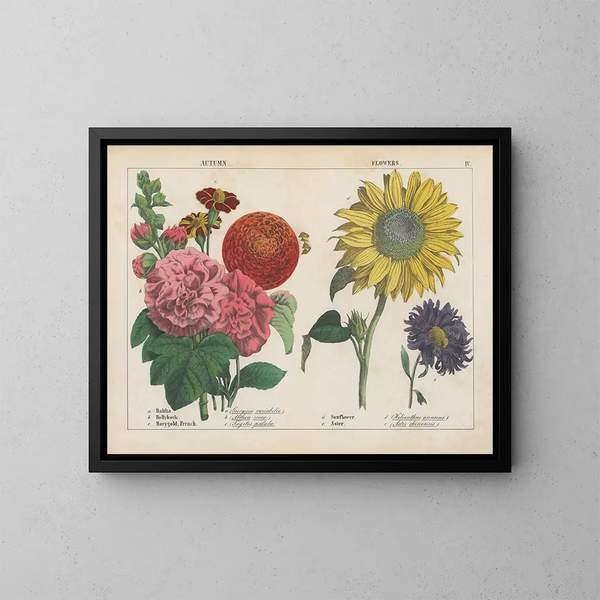 Höstblommor - Charlotte Mary Yonge — inramlat konstverk på väggen