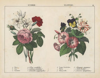 Charlotte Mary Yonge - Summer Flowers.webp