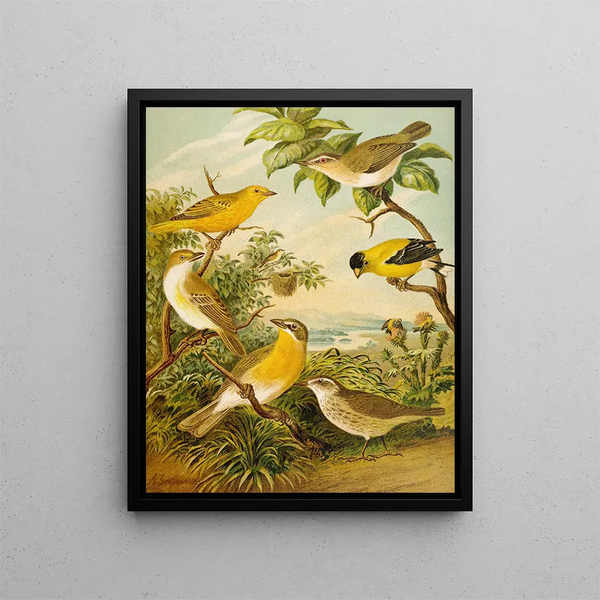 Le monde des oiseaux d'Amérique du Nord pl16 - Christian Anton Goering — inramlat konstverk på väggen