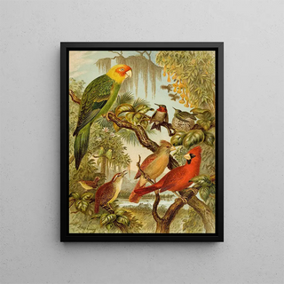 Christian Anton Goering - Die Nordamerikanische Vogelwelt pl27.webp