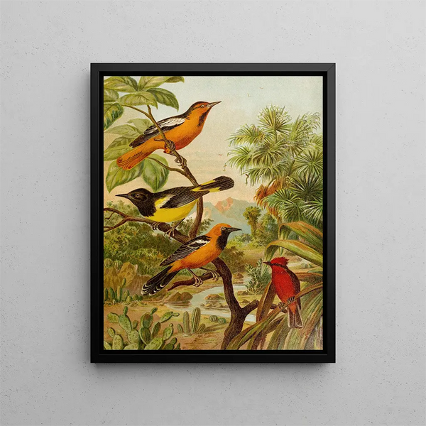 Le monde des oiseaux d'Amérique du Nord pl31 - Christian Anton Goering — inramlat konstverk på väggen
