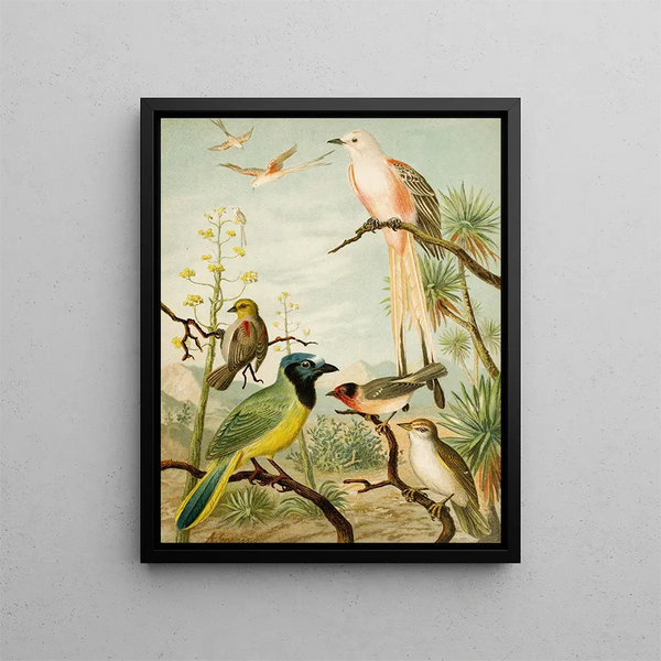 Le monde des oiseaux d'Amérique du Nord pl32 - Christian Anton Goering — inramlat konstverk på väggen