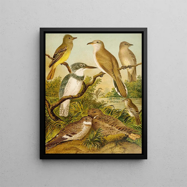 Le monde des oiseaux d'Amérique du Nord pl34 - Christian Anton Goering — inramlat konstverk på väggen