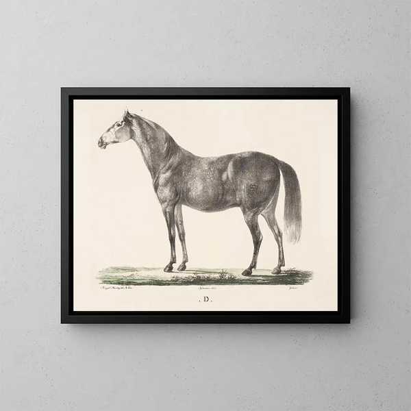 Le cheval D - Christian David Gebauer — inramlat konstverk på väggen