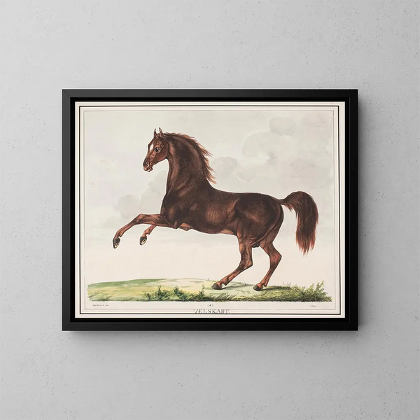 Le cheval bien formé - Christian David Gebauer — inramlat konstverk på väggen