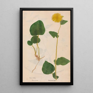 Christian Gottlieb Ludwig - Ectypa vegetabilium Pl057.webp