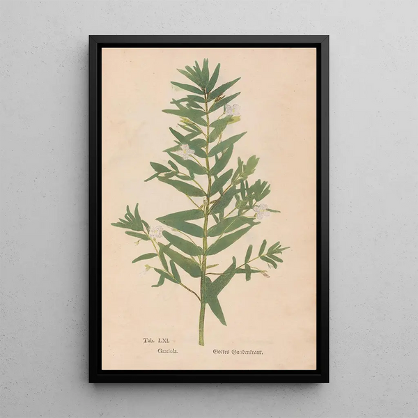 Reproduktion av målningen Ectypa vegetabilium Pl061 - Christian Gottlieb Ludwig