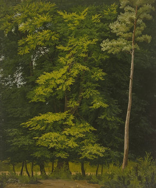Christian Heerdt - Broadleaf forest study in oil.webp