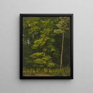 Christian Heerdt - Broadleaf forest study in oil.webp