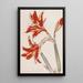 Amaryllis röd - Christian Rohlfs — inramlat konstverk på väggen