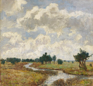 Ciel ensoleillé et nuageux au-dessus de prairies marécageuses avec un ruisseau - Paul Baum