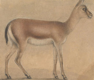 Circle of Michelino da Besozzo - A Gazelle In Profile Moving Toward The Right.webp