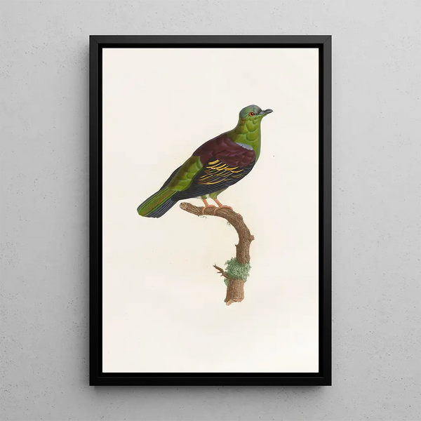 Reproduktion av målningen Les pigeons Pl05 - Coenraad Jacob Temminck