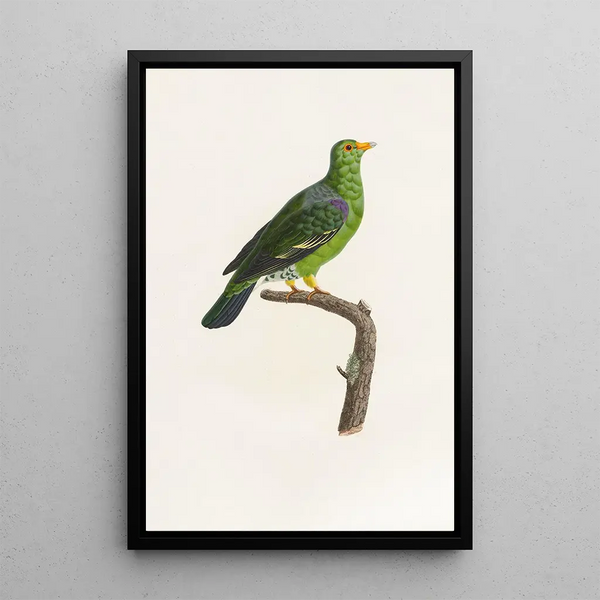 Reproduktion av målningen Les pigeons Pl07 - Coenraad Jacob Temminck
