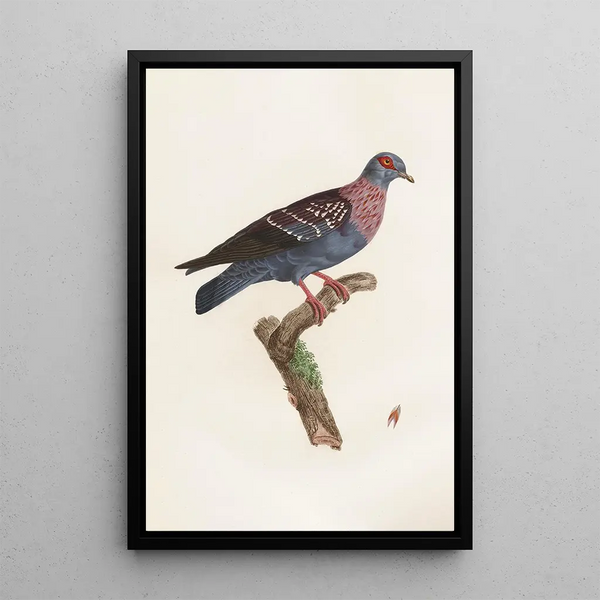 Reproduktion av målningen Les pigeons Pl27 - Coenraad Jacob Temminck