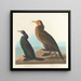 Cormoran grön violett - John James Audubon — inramlat konstverk på väggen