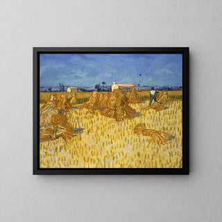 Vete skörd i Provence - Vincent van Gogh