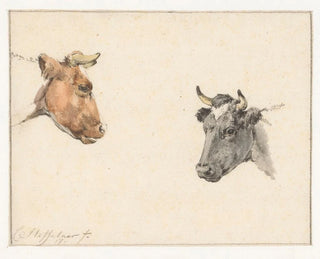 Cornelis Steffelaar - Studieblad met twee koeienkoppen.webp