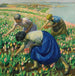 Cueilleurs de tulipes - Harold Harvey — vy av konstverket