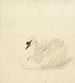 Cygne tuberculé - Aert Schouman — vy av konstverket