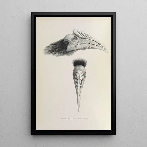 Reproduktion av målningen Pholidophalus casuarinus - Daniel Giraud Elliot