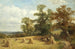ett majsfält i West Malvern - David Bates — vy av konstverket