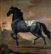 La vie de Charles XI au Tigre - David Klöcker Ehrenstrahl — vy av konstverket