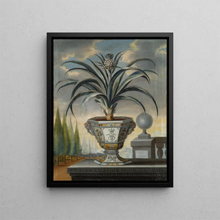 David von Cln - Pineapple plant.webp