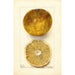 Citrus paradisi Scrubs - Deborah Griscom Passmore — vy av konstverket