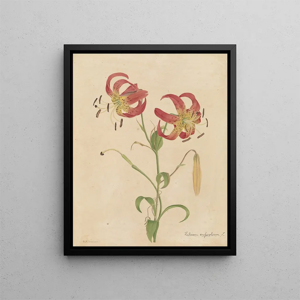 Deborah Griscom Passmore - Deborah Griscom Passmore watercolor album Pl02.webp