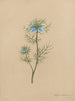 Album akvarell av Deborah Griscom Passmore Pl05 - Deborah Griscom Passmore — vy av konstverket