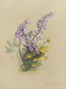 Album akvarell av Deborah Griscom Passmore Pl10 - Deborah Griscom Passmore — vy av konstverket