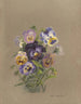 Album akvarell av Deborah Griscom Passmore Pl17 - Deborah Griscom Passmore — vy av konstverket