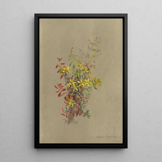 Deborah Griscom Passmore - Deborah Griscom Passmore watercolor album Pl26.webp