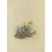 Album d'aquarelles de Deborah Griscom Passmore Pl43 - Deborah Griscom Passmore — vy av konstverket